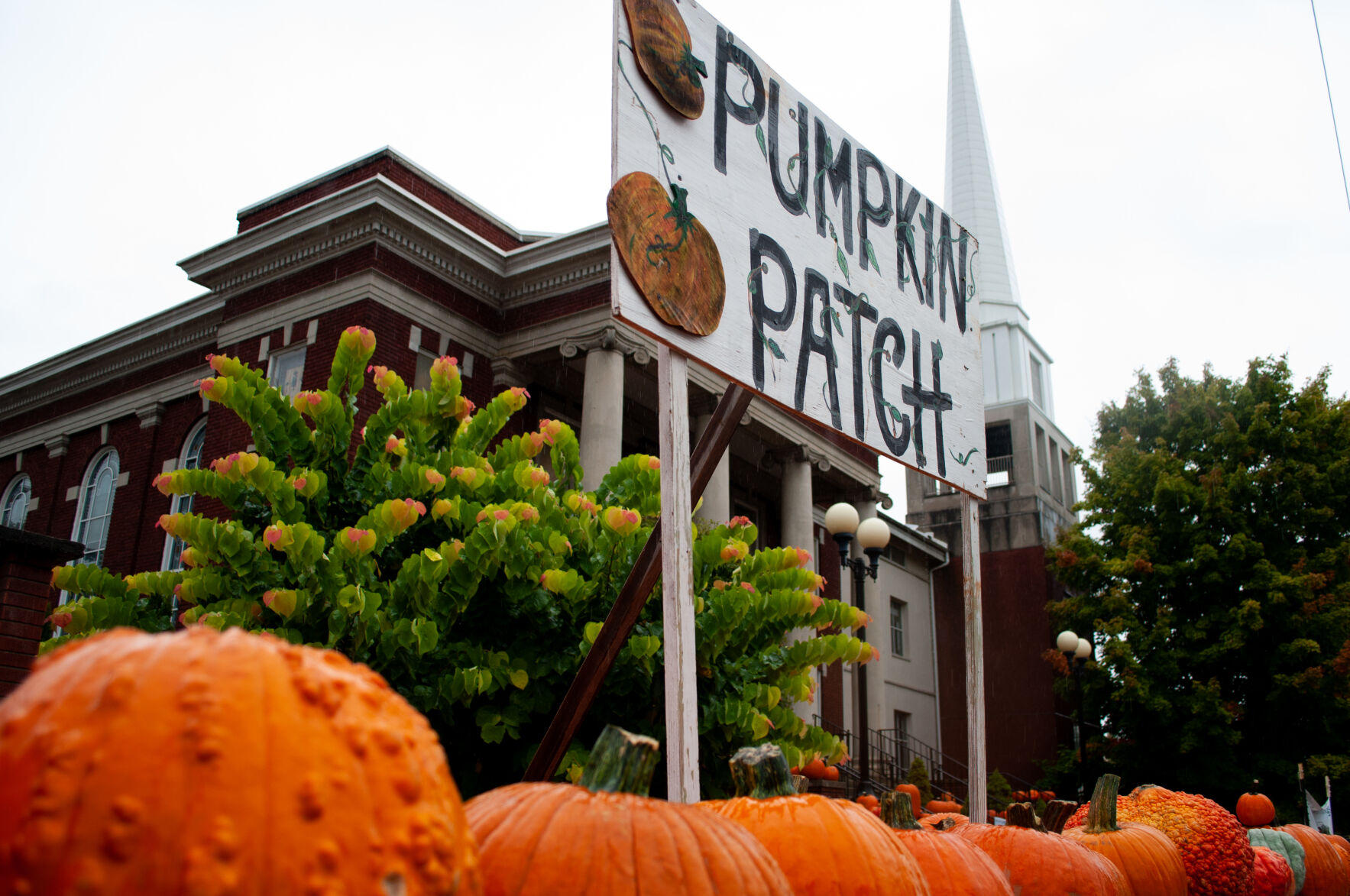 FUMC pumpkin patch sign